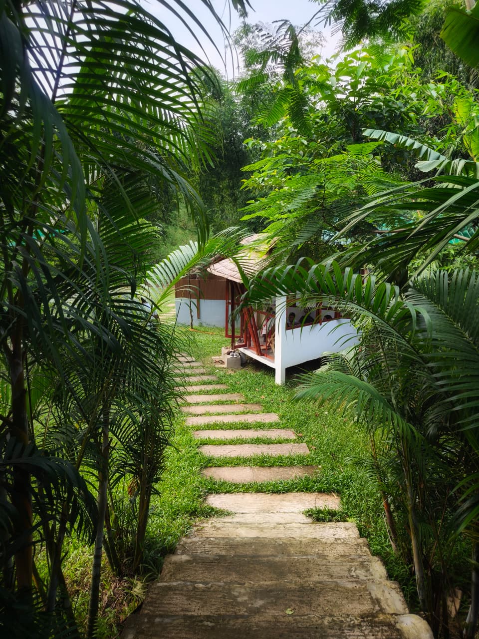 Walking area in resort