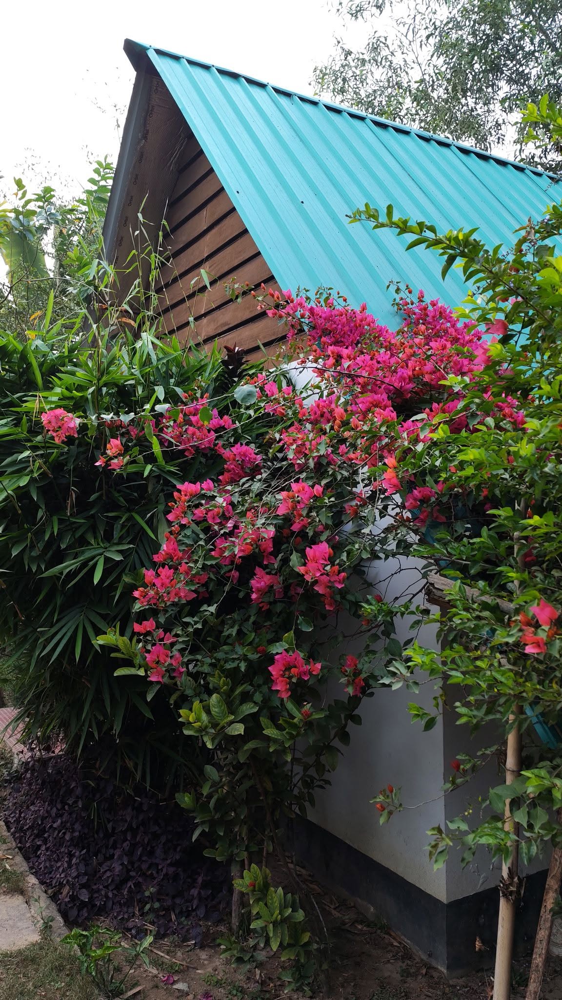 Ac Villa