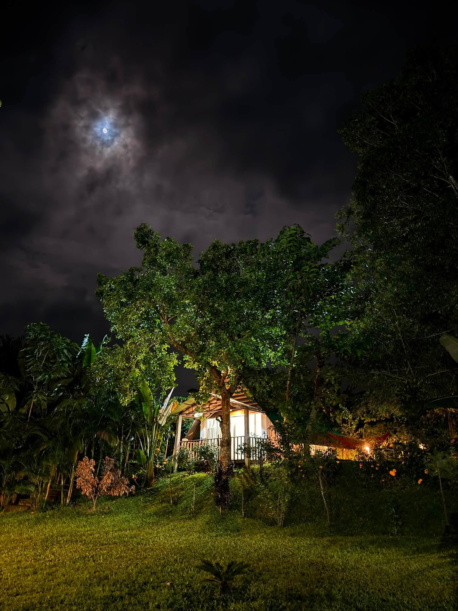 Night View