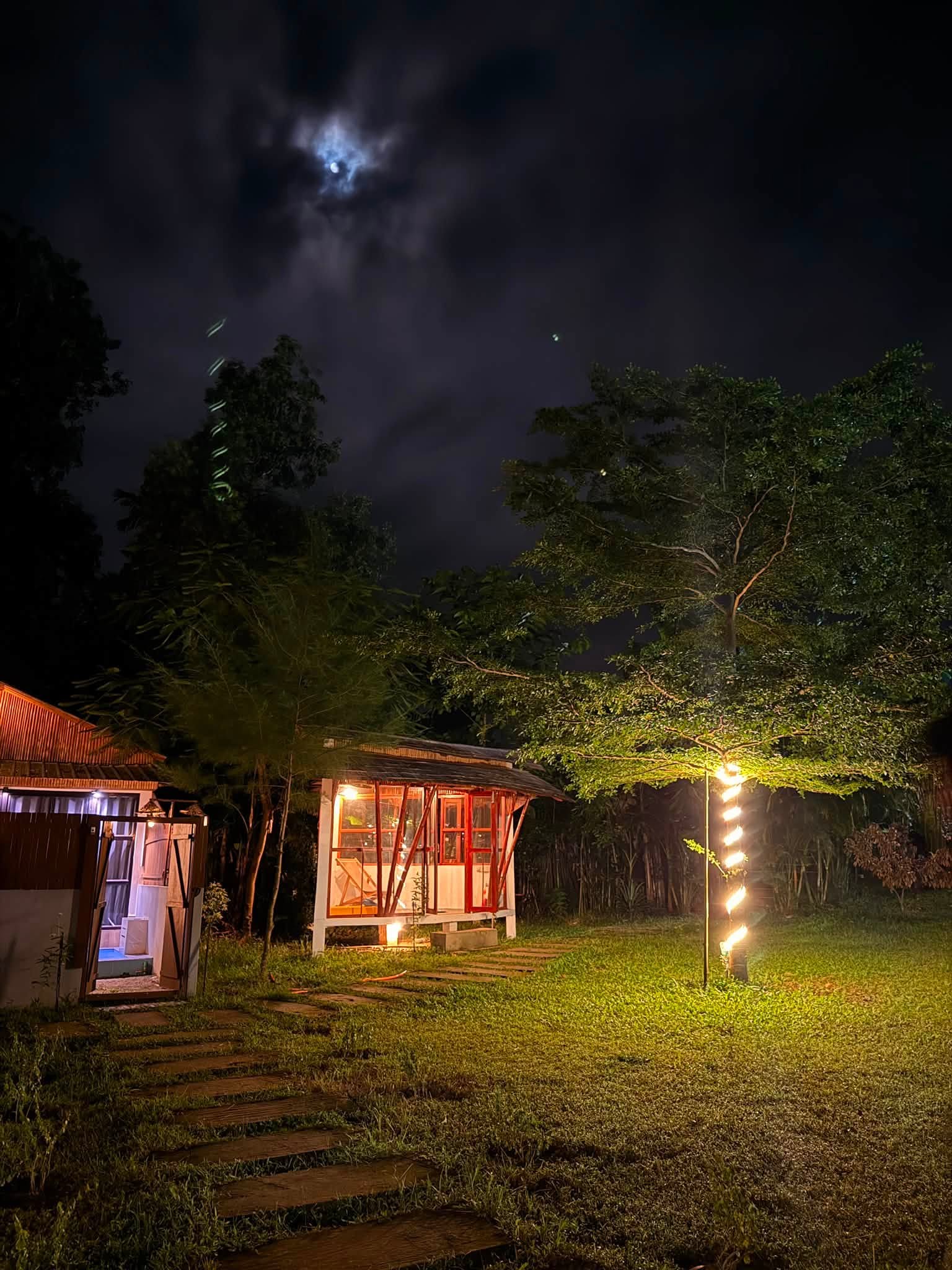Night View